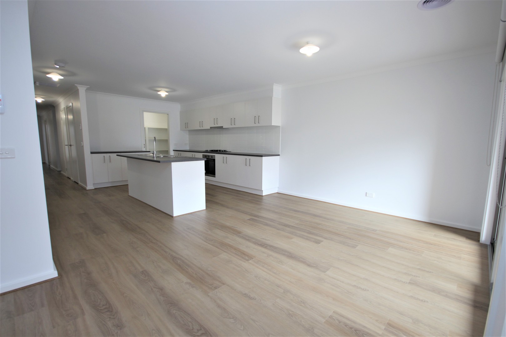 2C Azilemot  Avenue, Herne Hill, VIC 3218, Herne Hill - Thumbnail 3