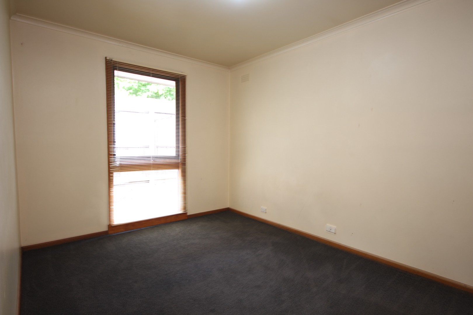 3/11 Douglass Street, Herne Hill, VIC 3218, Herne Hill - Thumbnail 4