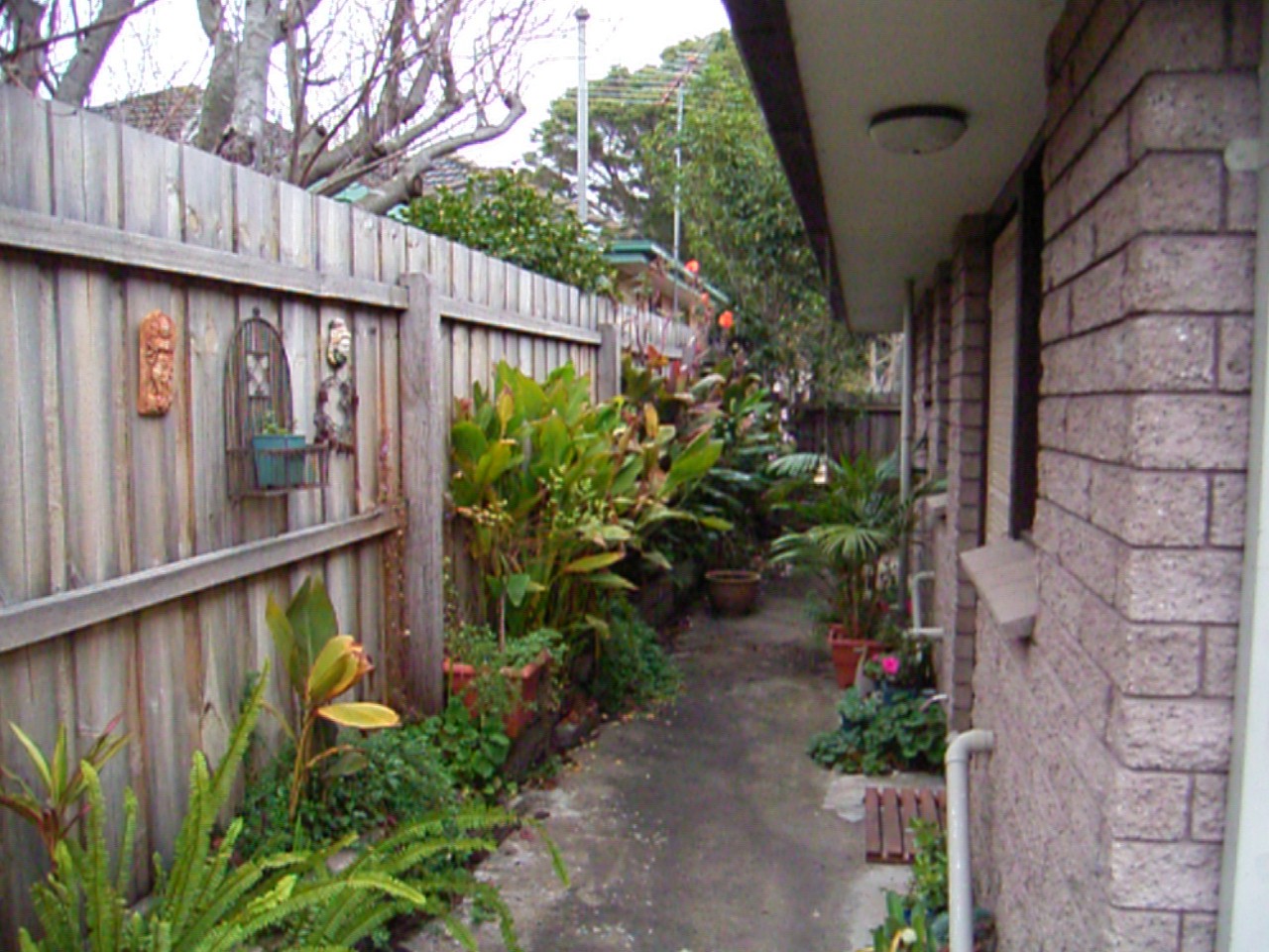 3/11 Douglass Street, Herne Hill, VIC 3218, Herne Hill - Thumbnail 6