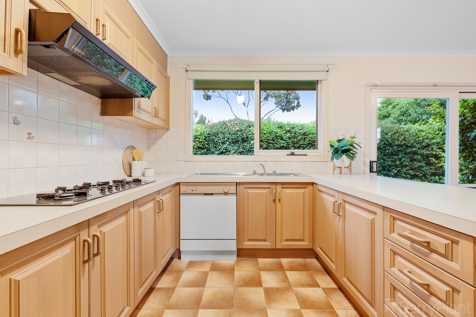 3/12 Baldwin Road, Blackburn, VIC 3130, Blackburn - Thumbnail 6