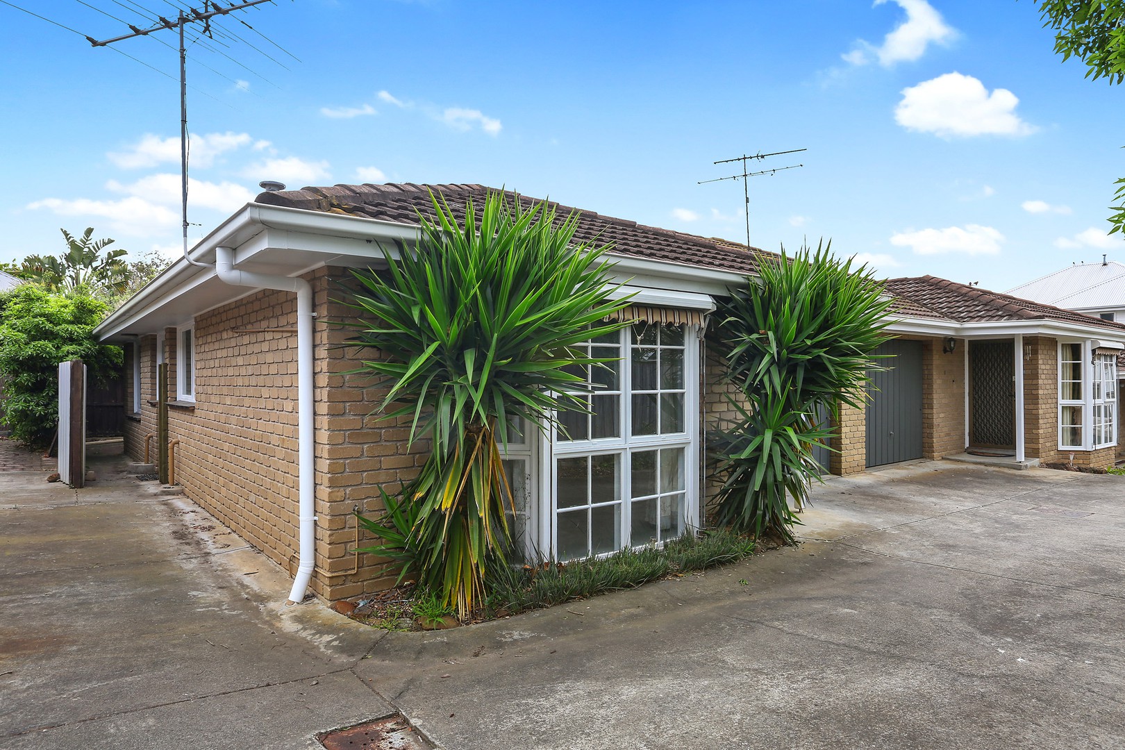 3/154 Skene Street, Newtown, VIC 3220, Newtown - Thumbnail 2