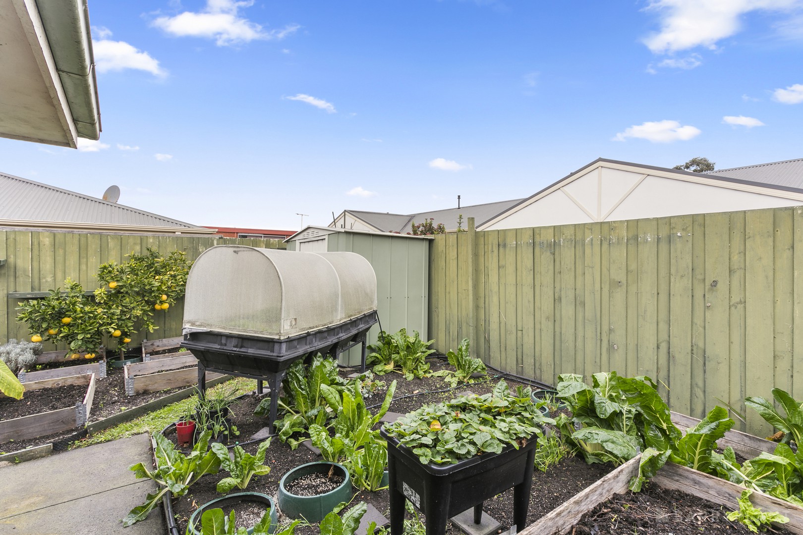 3/16 New Street, Dandenong, VIC 3175, Dandenong - Thumbnail 7