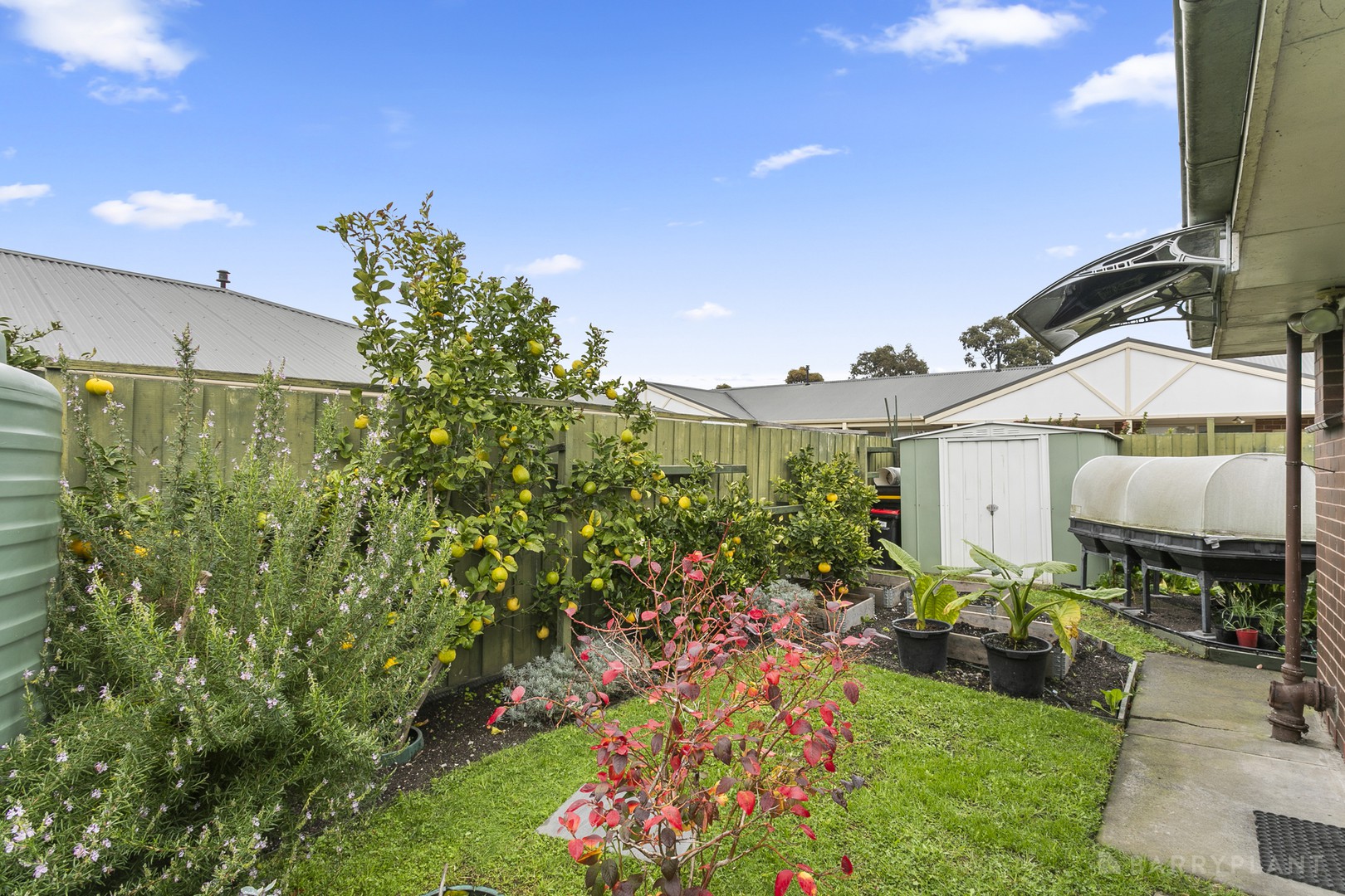 3/16 New Street, Dandenong, VIC 3175, Dandenong - Thumbnail 8
