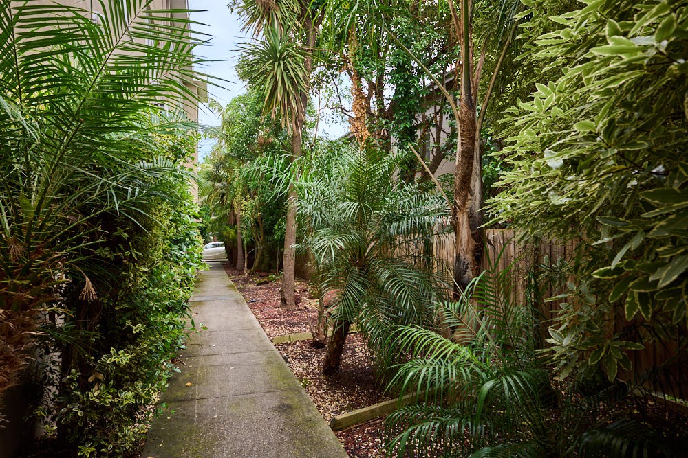 3/165 Power Street, Hawthorn, VIC 3122, Hawthorn - Thumbnail 7