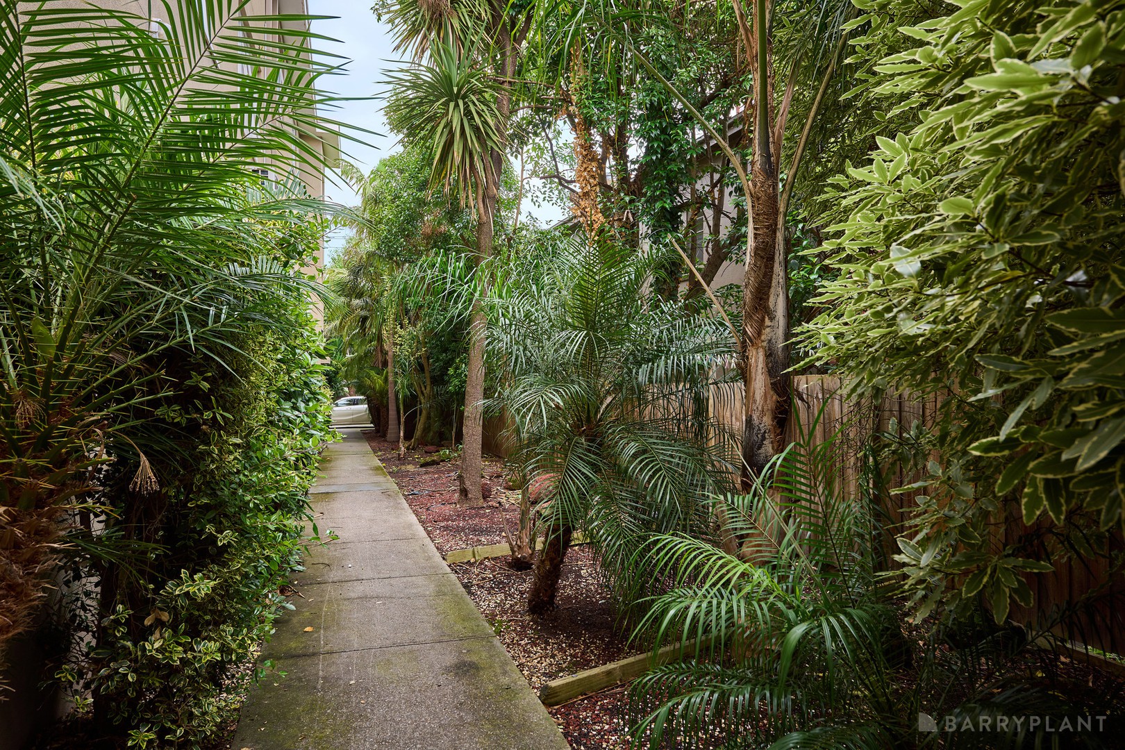 3/165 Power Street, Hawthorn, VIC 3122, Hawthorn - Thumbnail 8