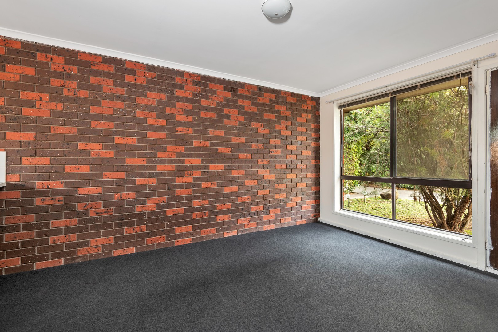 3/220-222 Wilsons RoadWhittington, VIC 3219, Whittington - Thumbnail 6