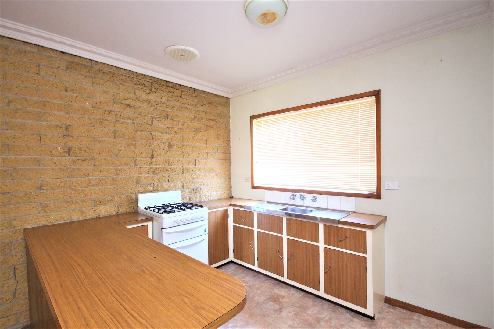 3/247 Church Street, Herne Hill, VIC 3218, Herne Hill - Thumbnail 4
