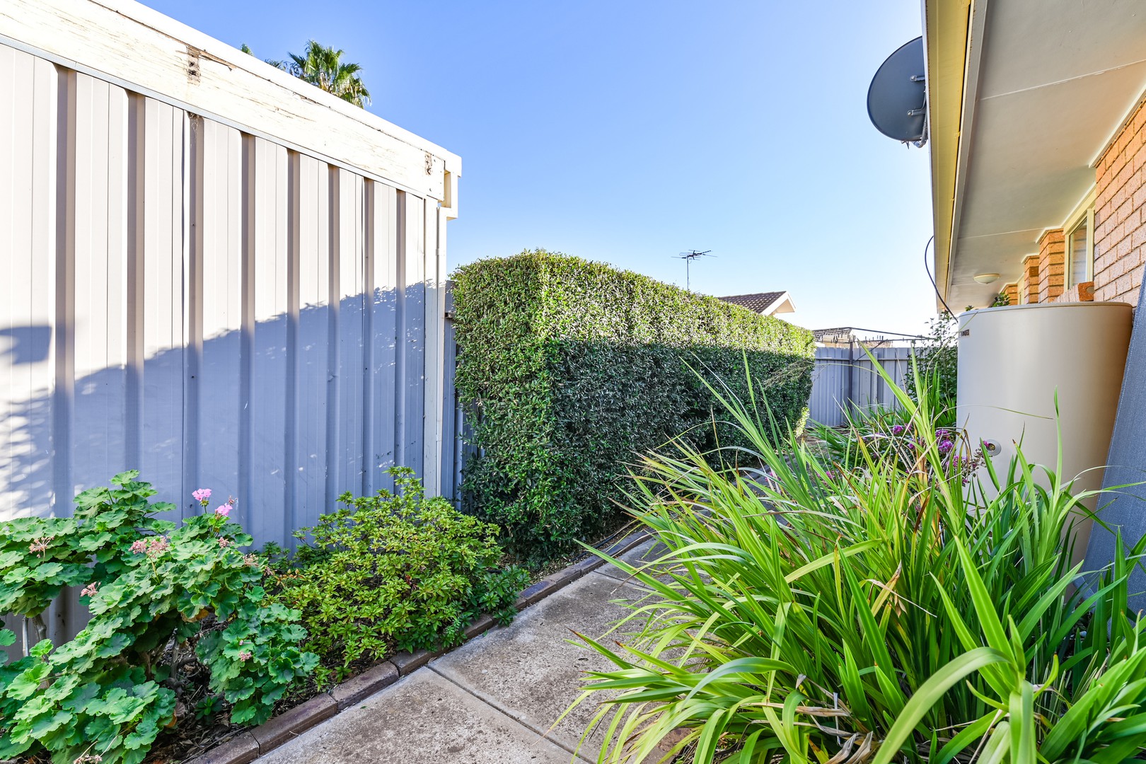 3/290 Twelfth Street, Mildura, VIC 3500, Mildura - Thumbnail 3