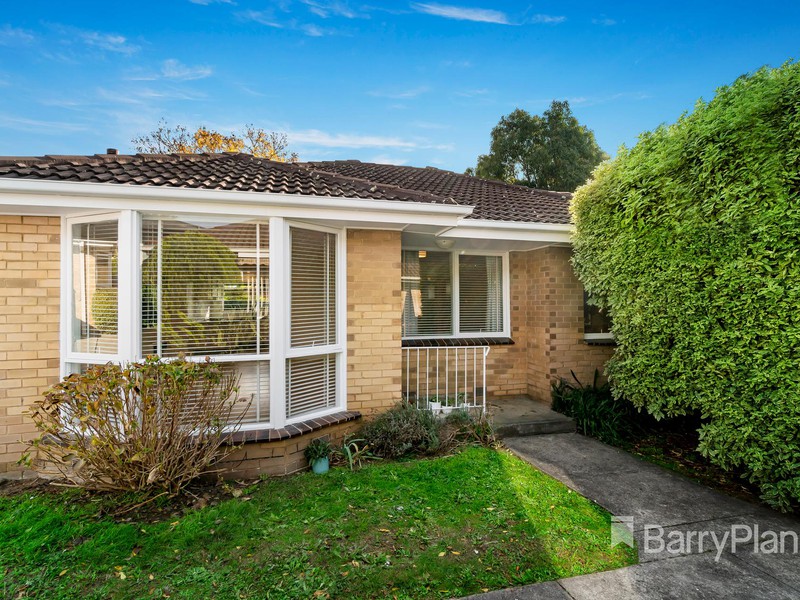 3/41 Peter Street, Box Hill North, VIC 3129 - Image - 13/01/2025