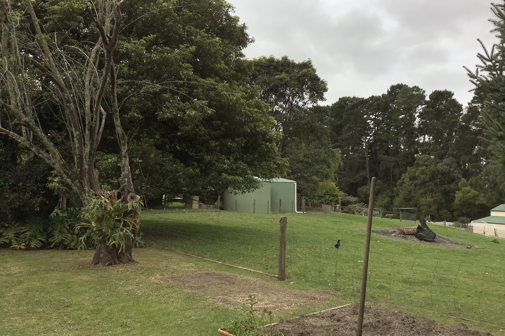 3/64 Clegg Road, Mount Evelyn, VIC 3796, Mount Evelyn - Thumbnail 5