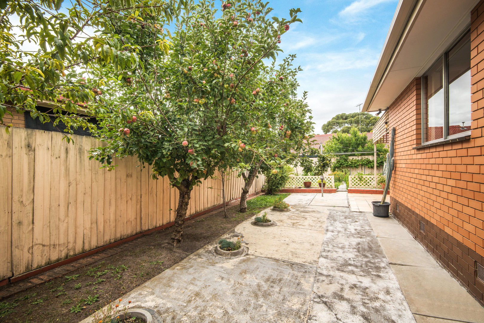 3 Bellnore Drive, Norlane, VIC 3214, Norlane - Thumbnail 6