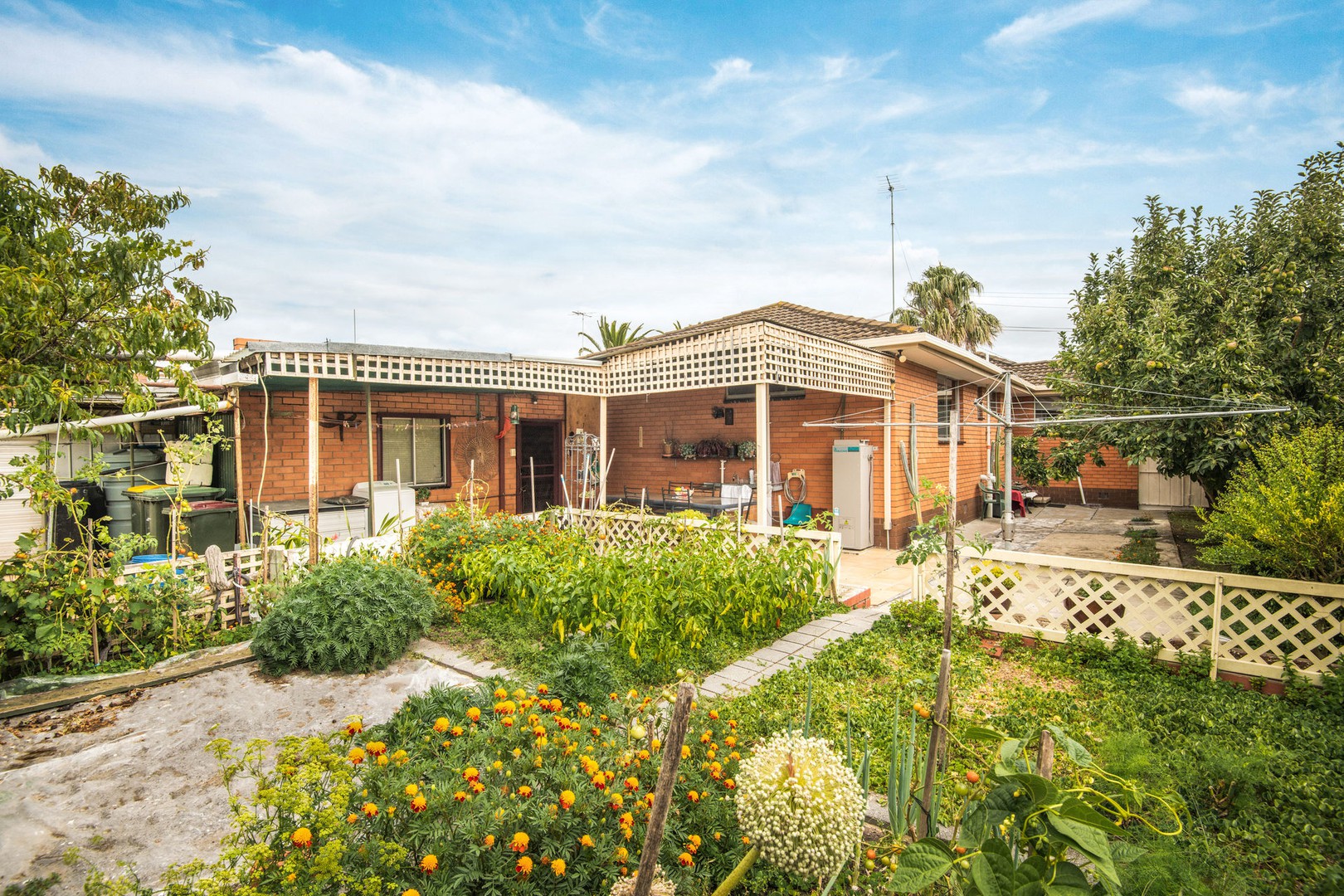 3 Bellnore Drive, Norlane, VIC 3214, Norlane - Thumbnail 7