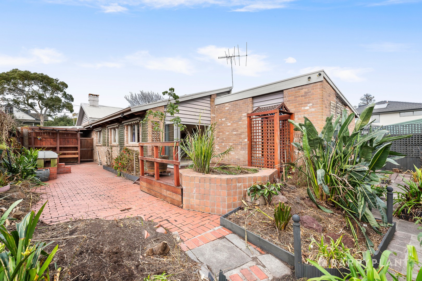 3 Bourke Street, Mentone, VIC 3194, Mentone - Thumbnail 8