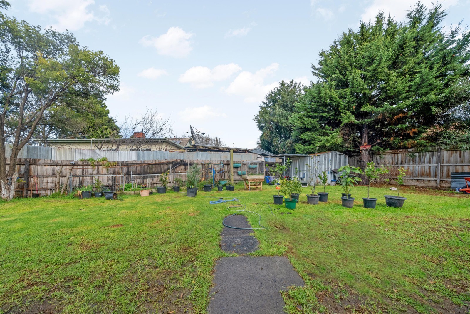 3 Cooper Street, Broadmeadows, VIC 3047, Broadmeadows - Thumbnail 6