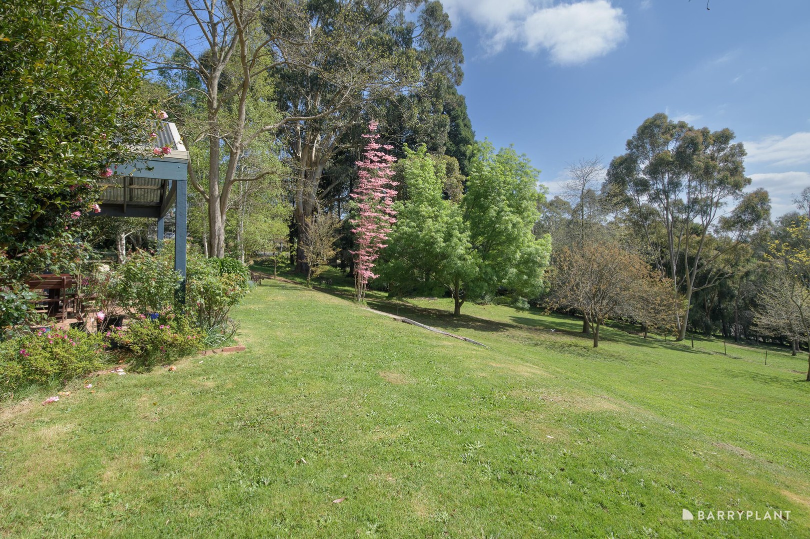 3 Emerald Close, Emerald, VIC 3782, Emerald - Thumbnail 8