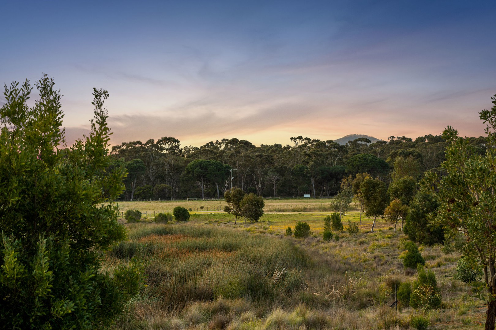 3 Hodges Place, Lara, VIC 3212, Lara - Thumbnail 3