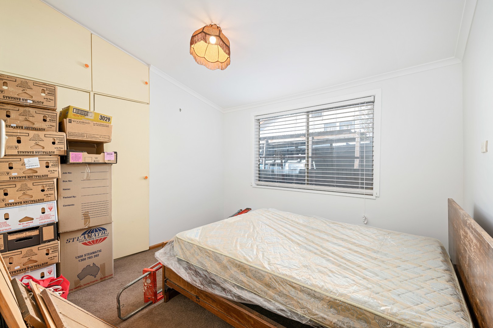 3 Jacaranda Street, Red Cliffs, VIC 3496, Red Cliffs - Thumbnail 5