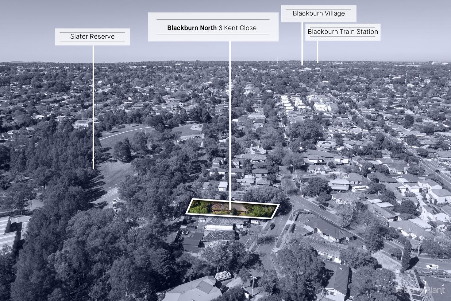 3 Kent Close, Blackburn North, VIC 3130, Blackburn North - Thumbnail 4