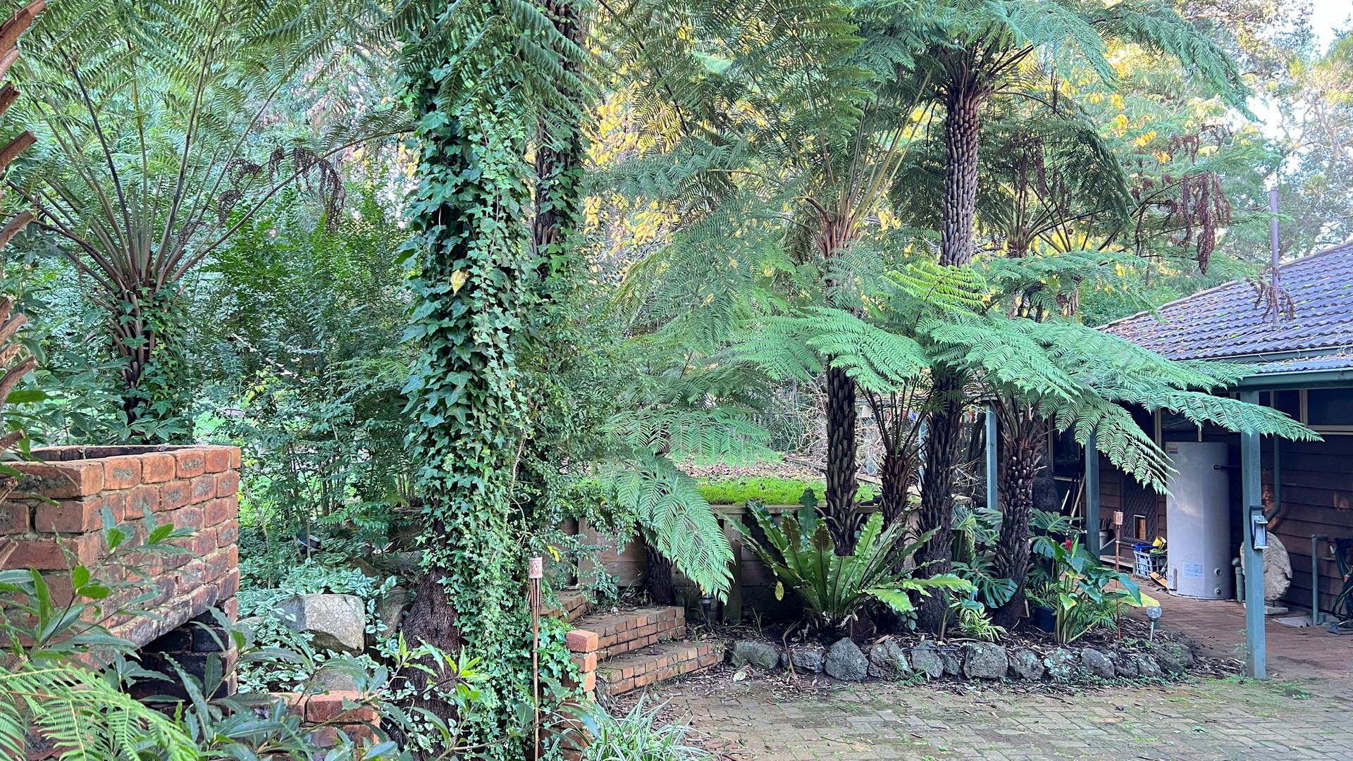 3 Mountain Av, Emerald, VIC 3782, Emerald - Thumbnail 2