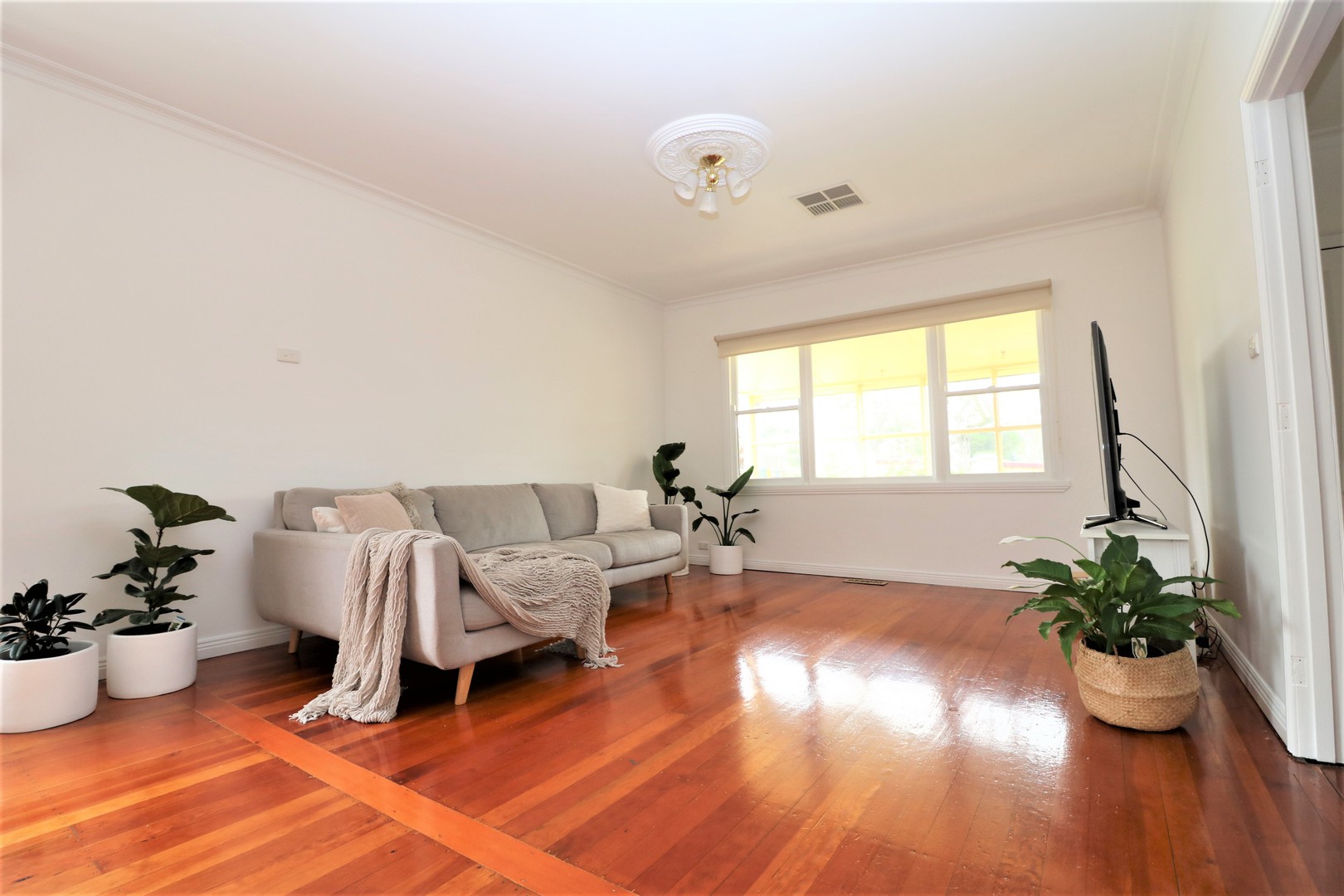 3 North  Avenue, Belmont, VIC 3216, Belmont - Thumbnail 2