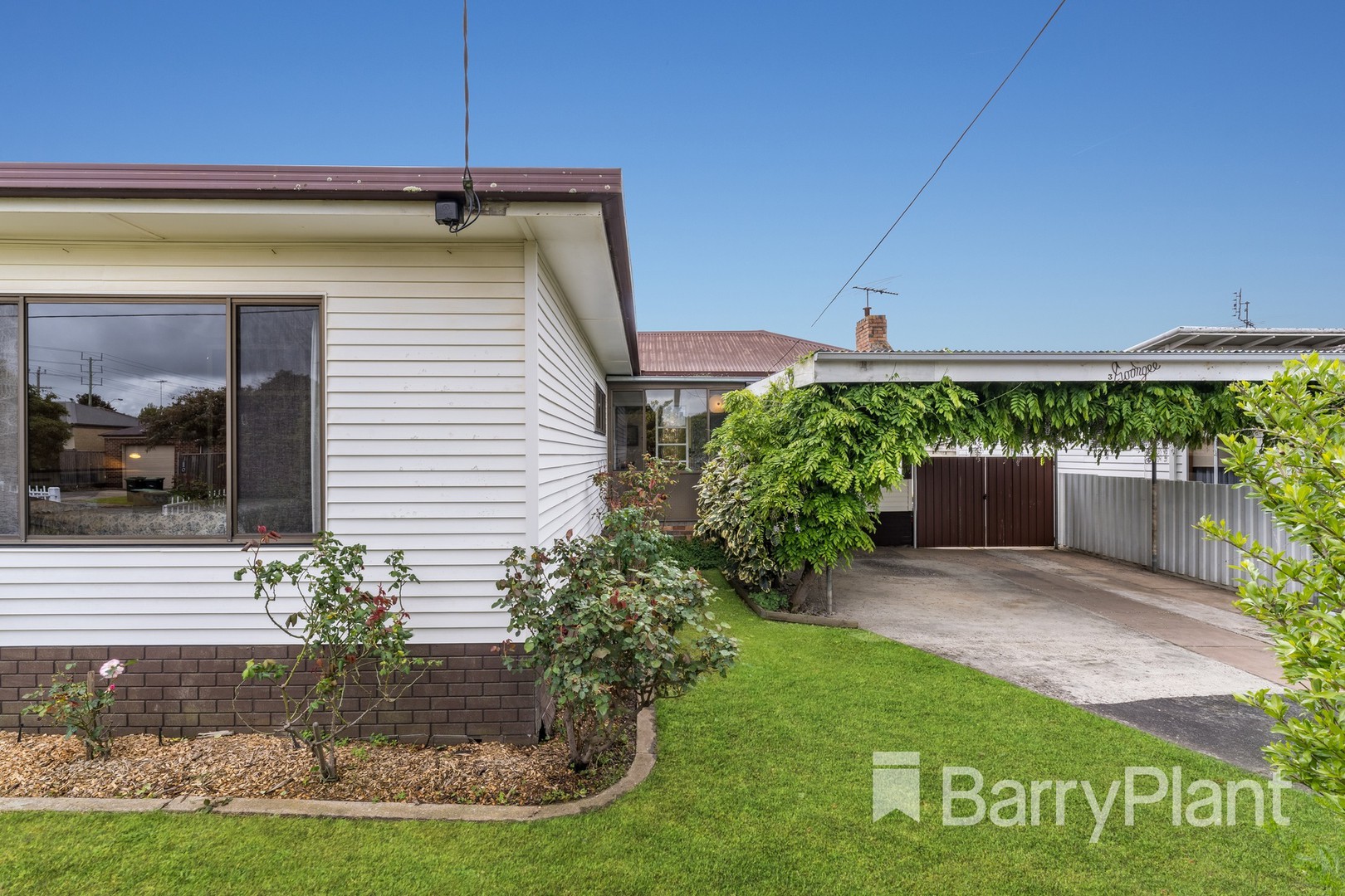 3 Rix StreetHerne Hill, VIC 3218, Herne Hill - Thumbnail 6