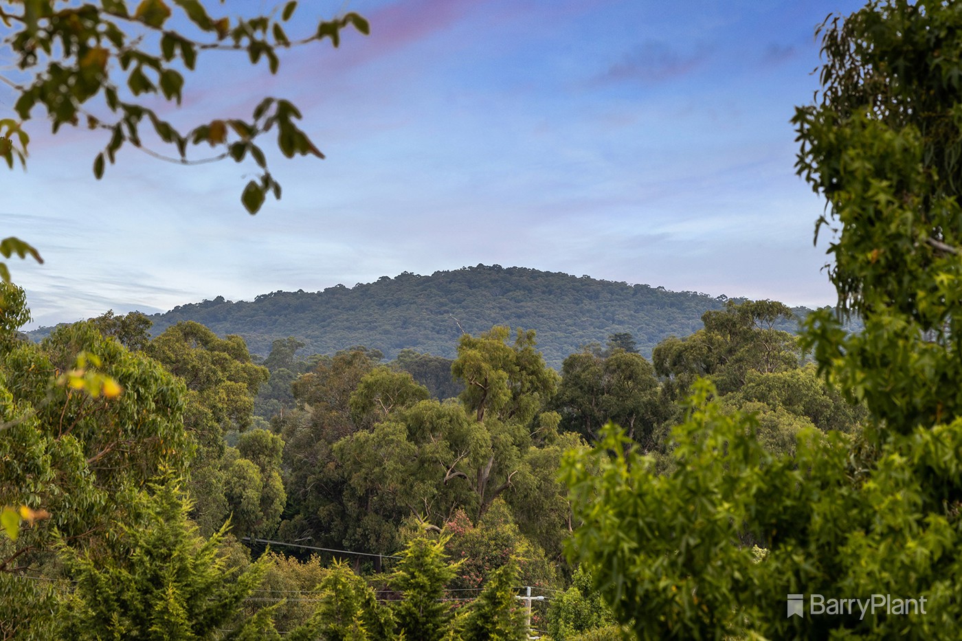 3 Rose Court, Lilydale, VIC 3140, Lilydale - Thumbnail 2