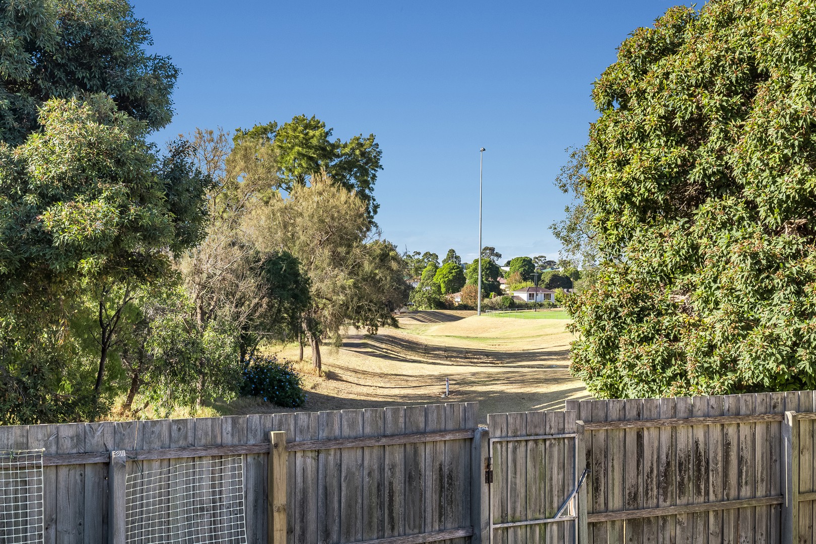 3 Roycroft Avenue, Highton, VIC 3216, Highton - Thumbnail 8