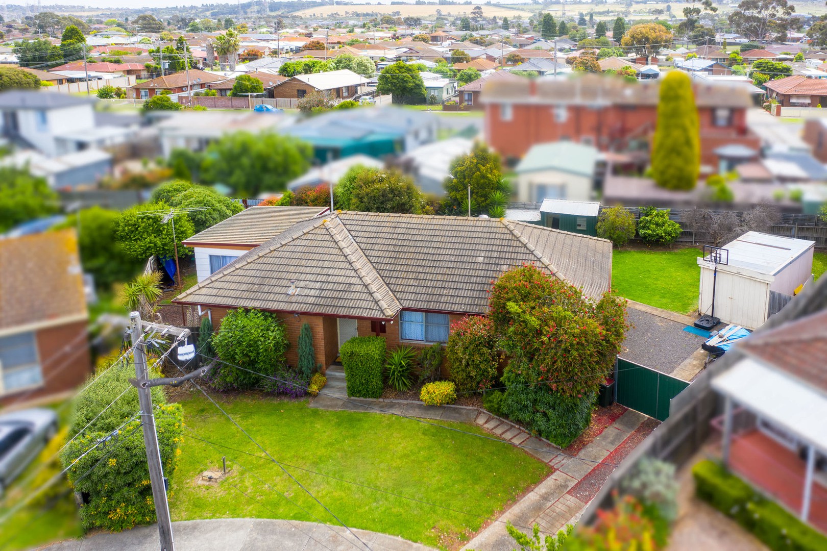 3 Tambo Court, Corio, VIC 3214, Corio - Thumbnail 3