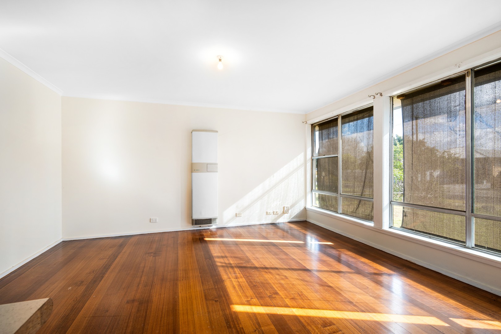 3 Young Street, Breakwater, VIC 3219, Breakwater - Thumbnail 3