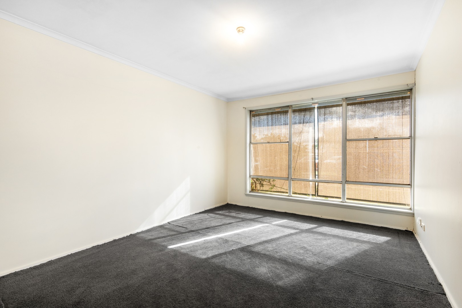 3 Young Street, Breakwater, VIC 3219, Breakwater - Thumbnail 5