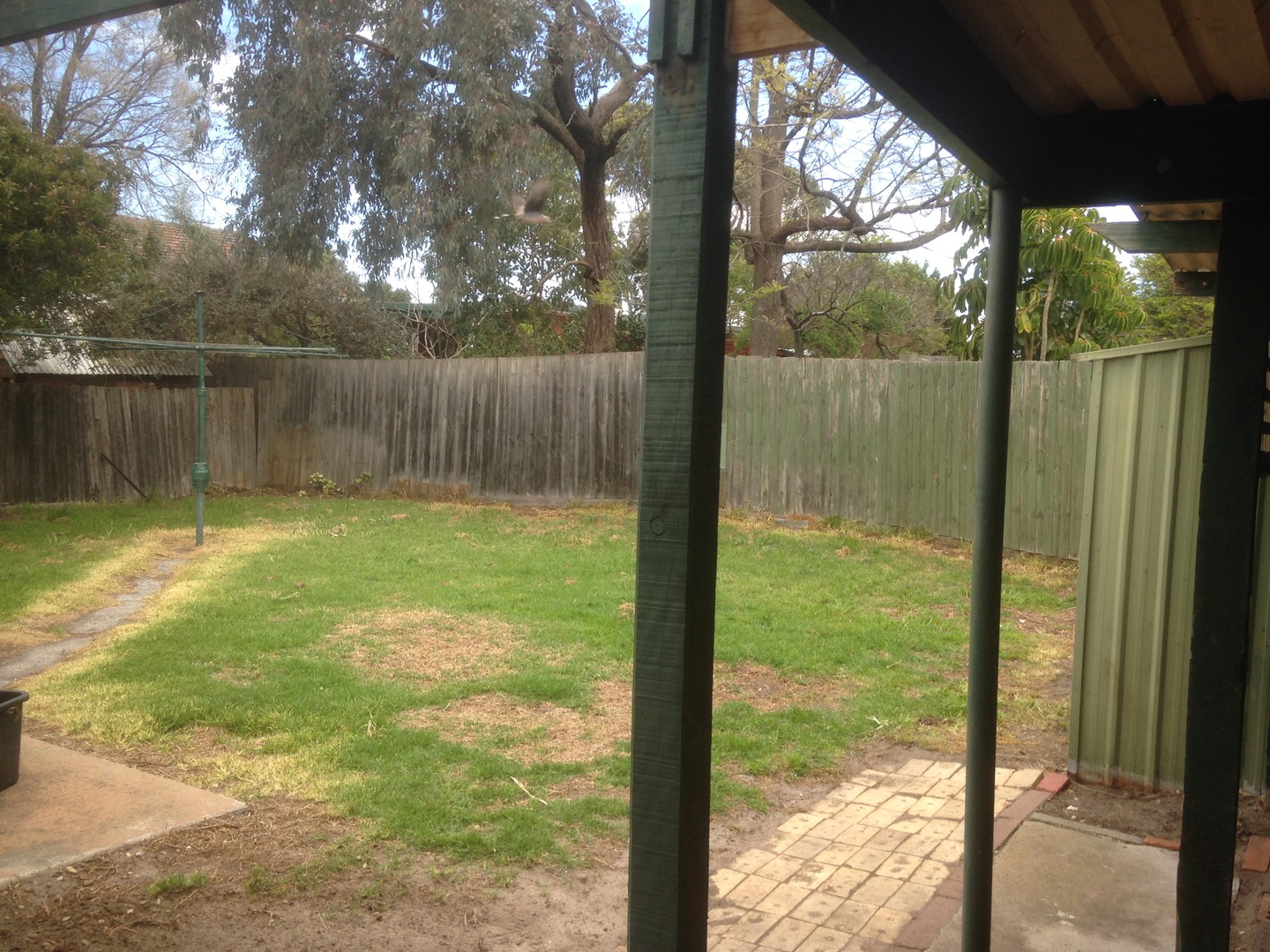 30 Albany  Crescent, Aspendale, VIC 3195, Aspendale - Thumbnail 7