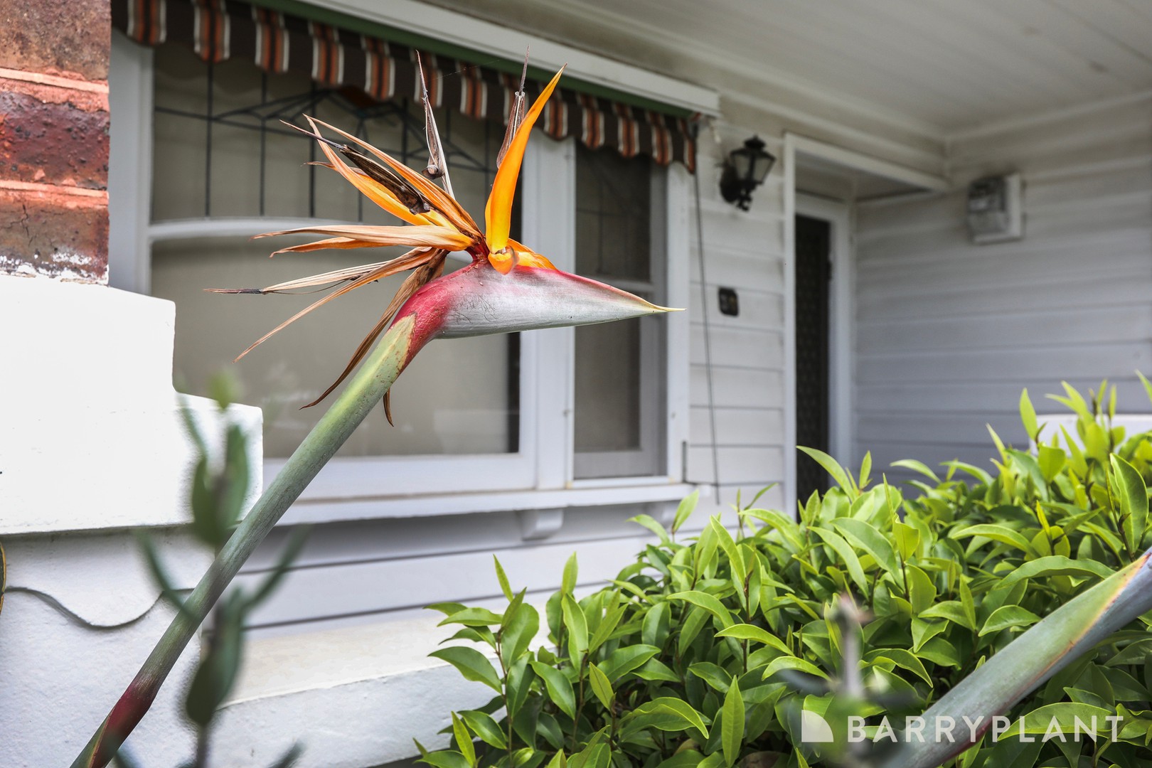 30 Glamis Road, West Footscray, VIC 3012, West Footscray - Thumbnail 4