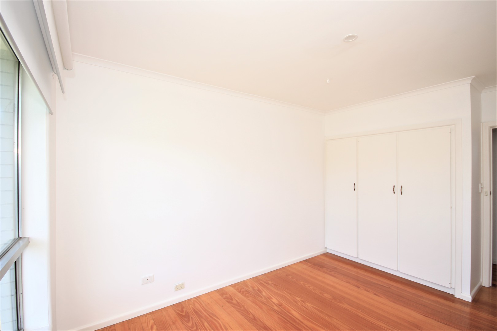 30 Ward Street, Bell Post Hill, VIC 3215, Bell Post Hill - Thumbnail 5