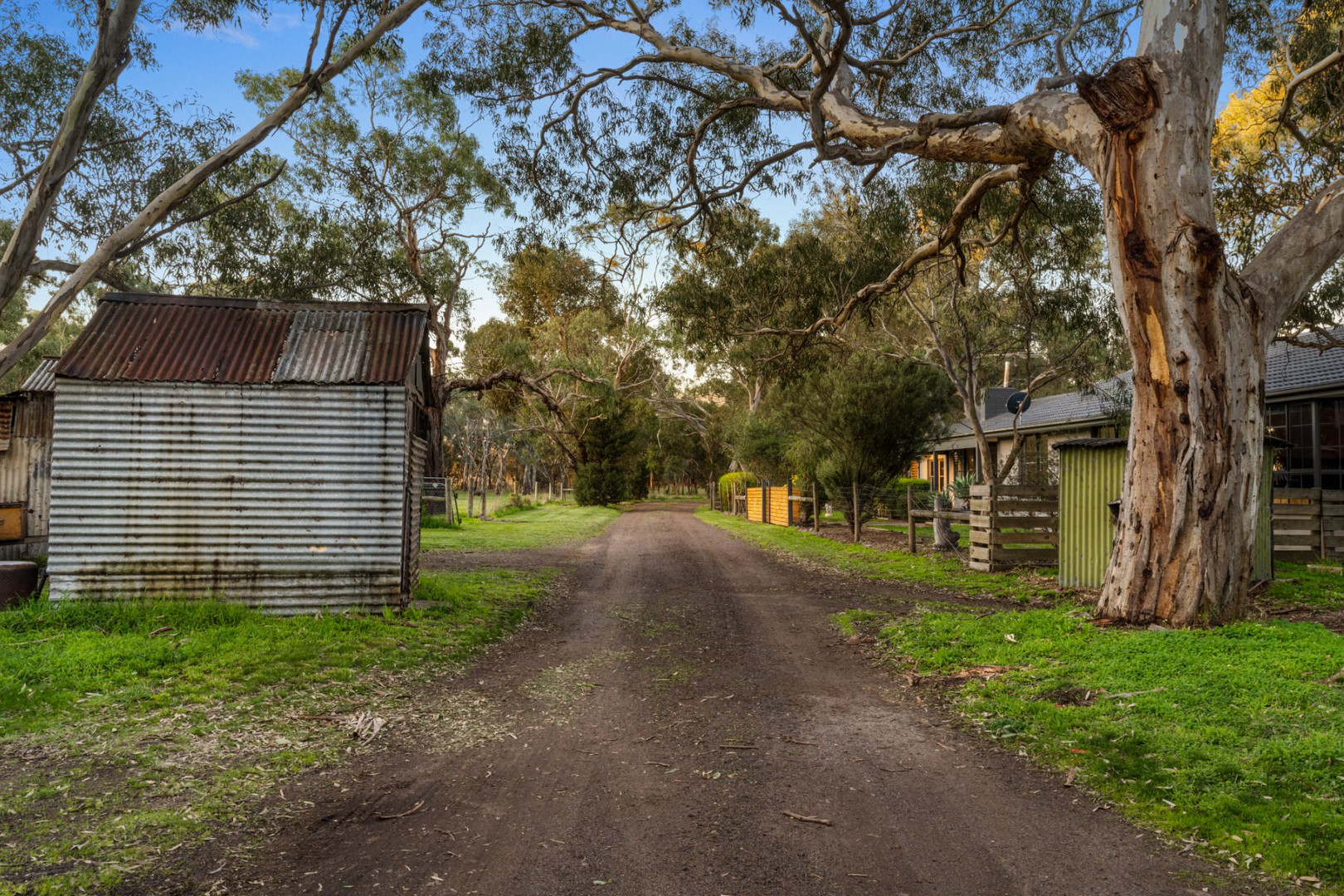 305 Brislane Road, Murgheboluc, VIC 3218, Murgheboluc - Thumbnail 3