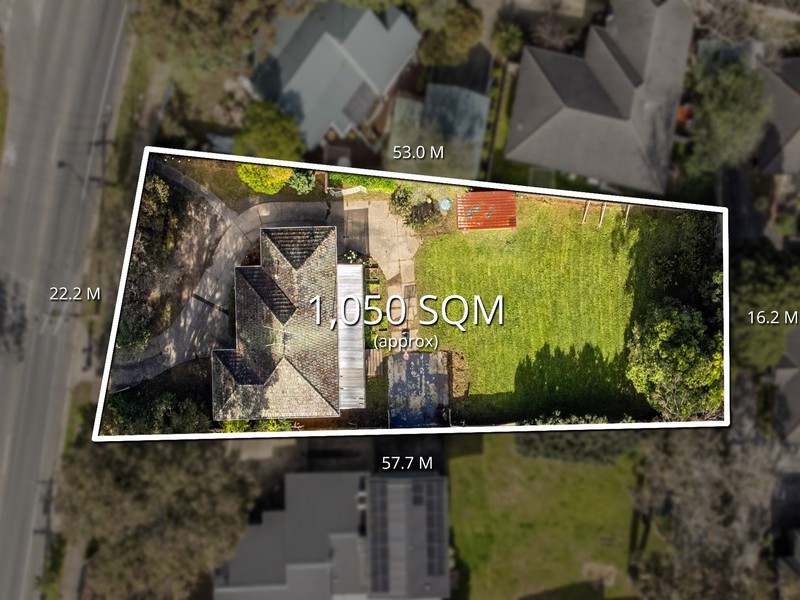 305 Forest Road, The Basin, VIC 3154 - Image - 10/09/2026