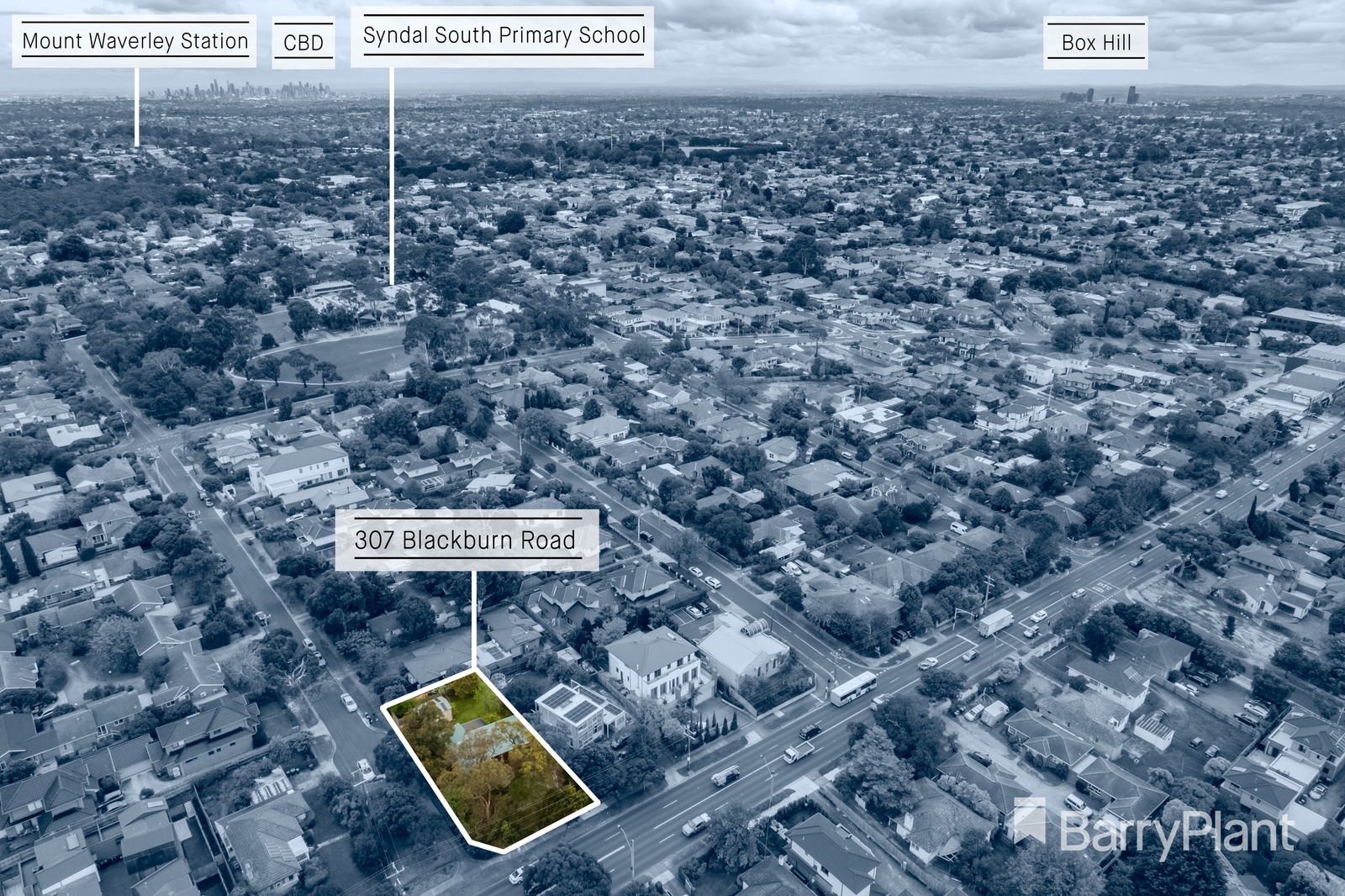 307 Blackburn RoadMount Waverley, VIC 3149, Mount Waverley - Thumbnail 4
