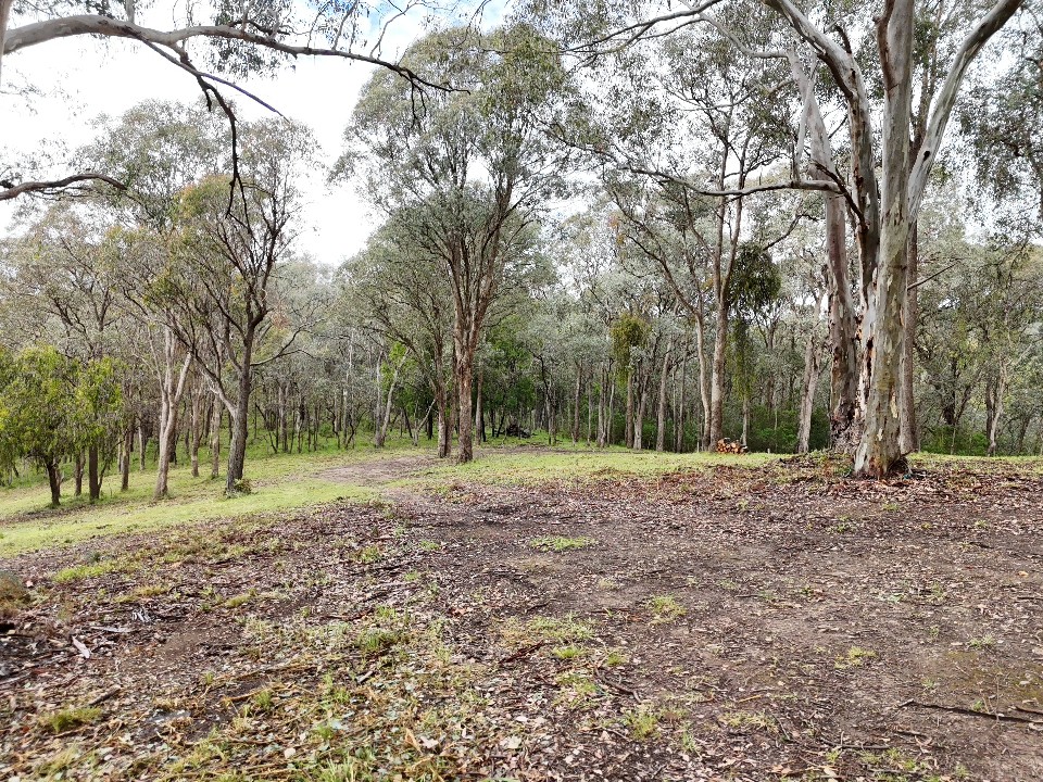 31 Mckinnon Terrace, Christmas Hills, VIC 3775, Christmas Hills - Thumbnail 4