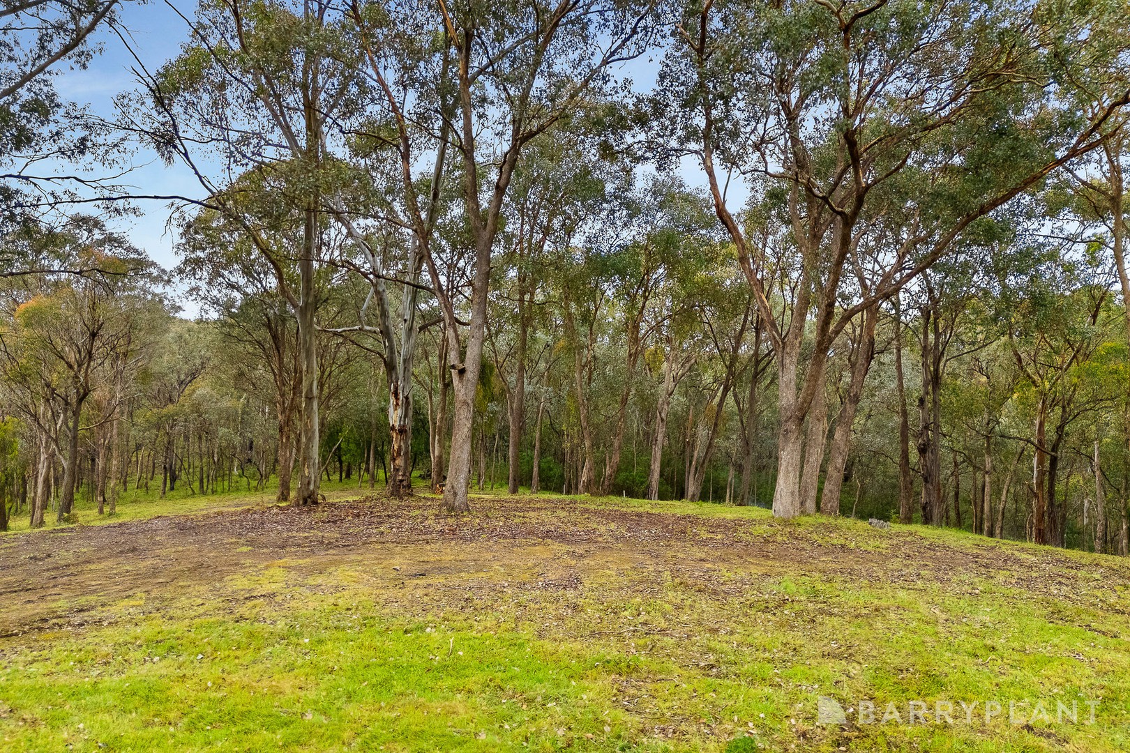 31 Mckinnon Terrace, Christmas Hills - Thumbnail 5