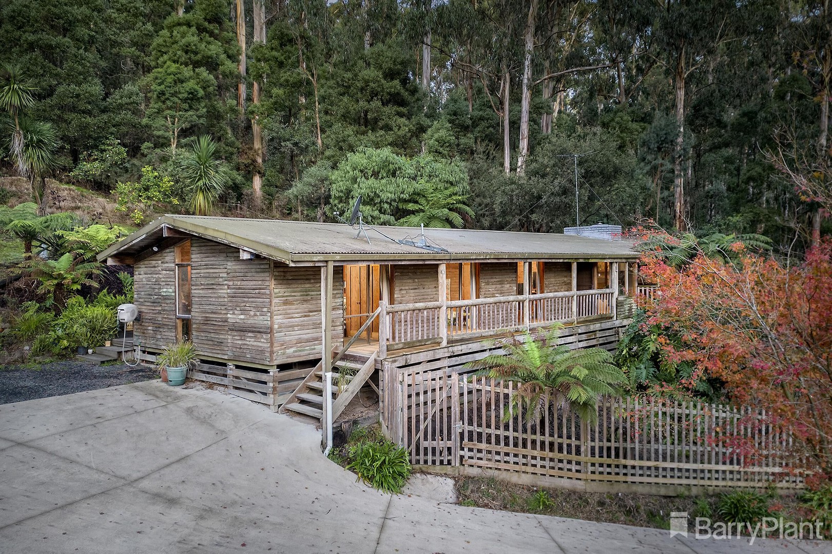 31 Selby-Aura Road, Menzies Creek, VIC 3159, Menzies Creek - Thumbnail 2