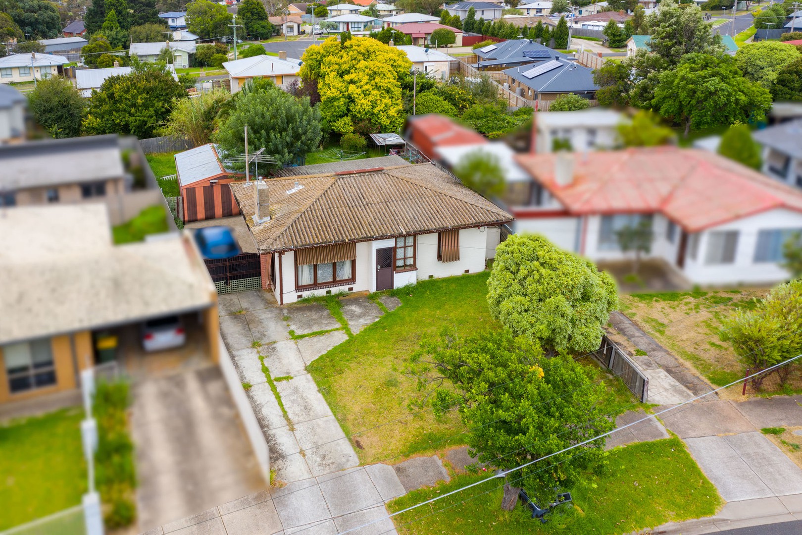 31 Wisteria Grove, Norlane, VIC 3214, Norlane - Thumbnail 2