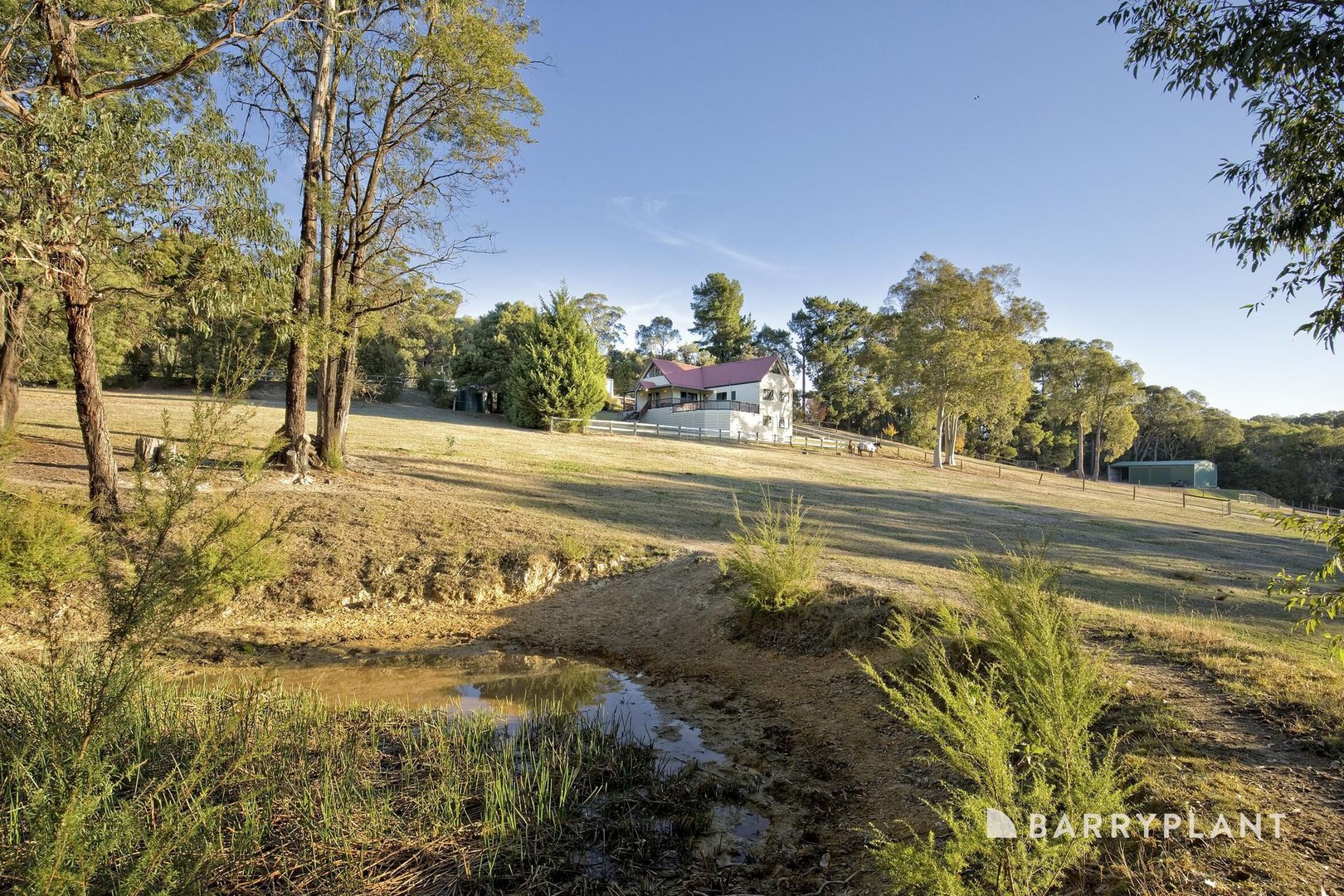 313 Evans Road, Cockatoo, VIC 3781, Cockatoo - Thumbnail 3