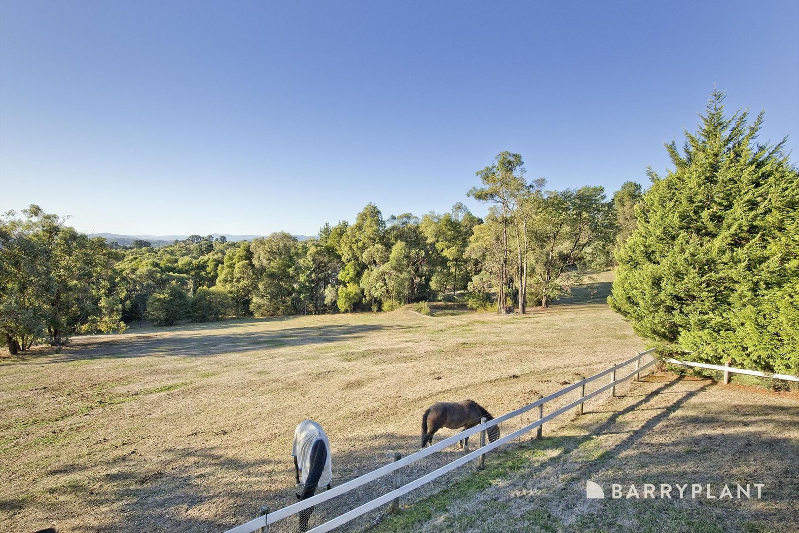 313 Evans Road, Cockatoo, VIC 3781, Cockatoo - Thumbnail 4
