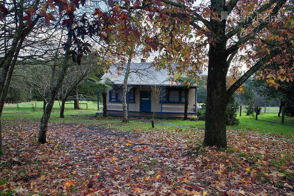 315b Macclesfield RD, Macclesfield, VIC 3782, Macclesfield - Thumbnail 2