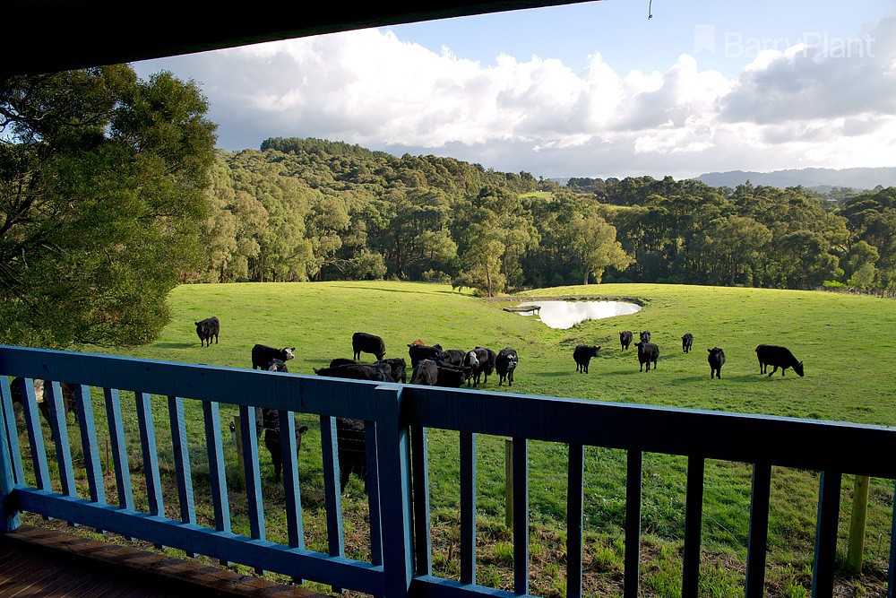 315b Macclesfield RD, Macclesfield, VIC 3782, Macclesfield - Thumbnail 4