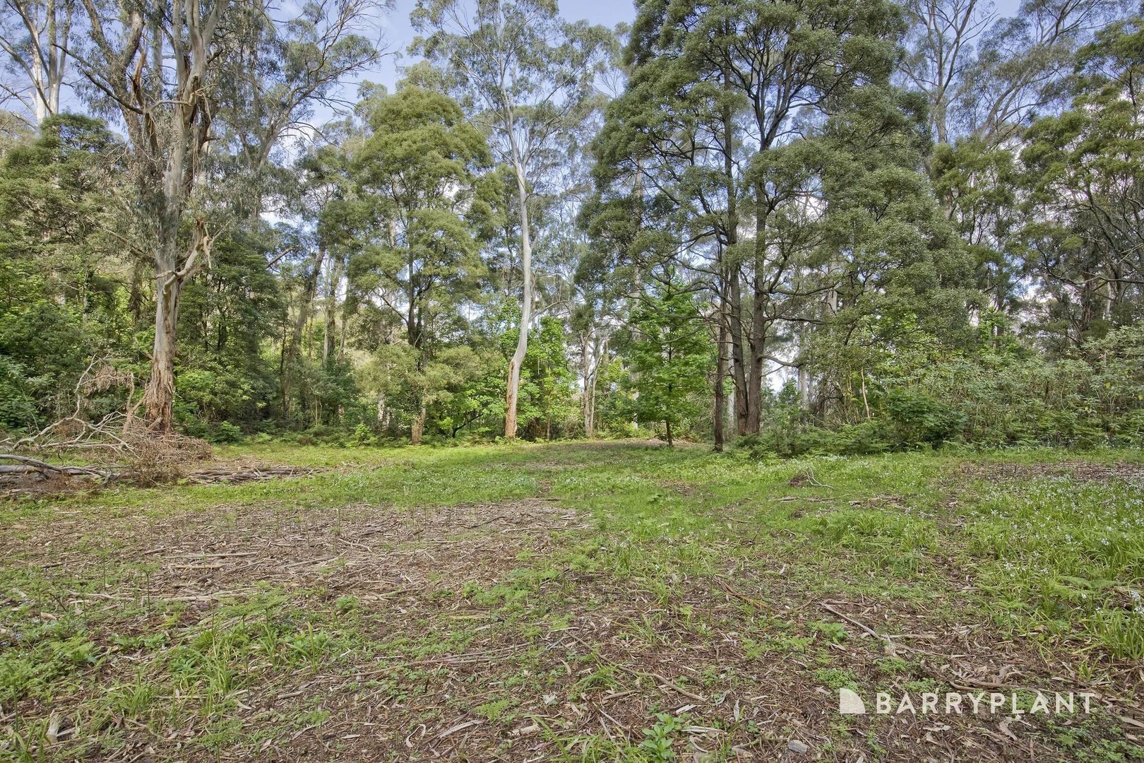 32 Dunstan Crescent, Tremont, VIC 3785, Tremont - Thumbnail 4