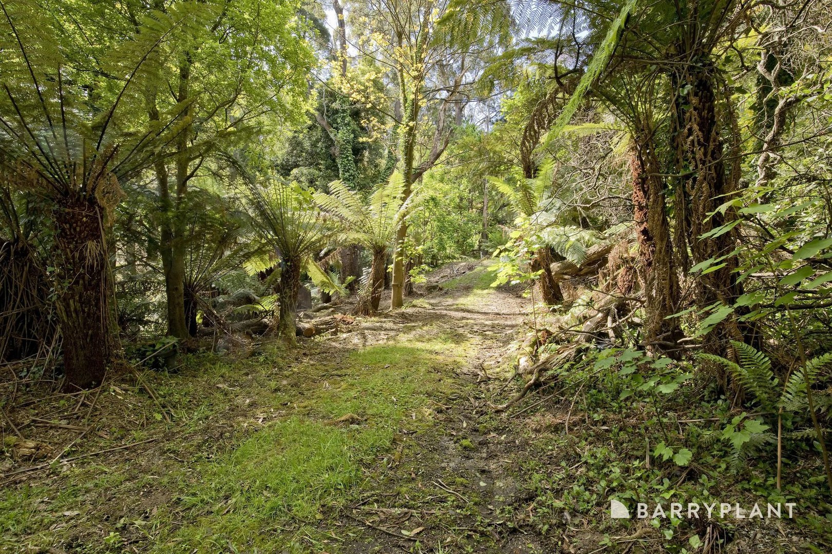 32 Dunstan Crescent, Tremont, VIC 3785, Tremont - Thumbnail 5