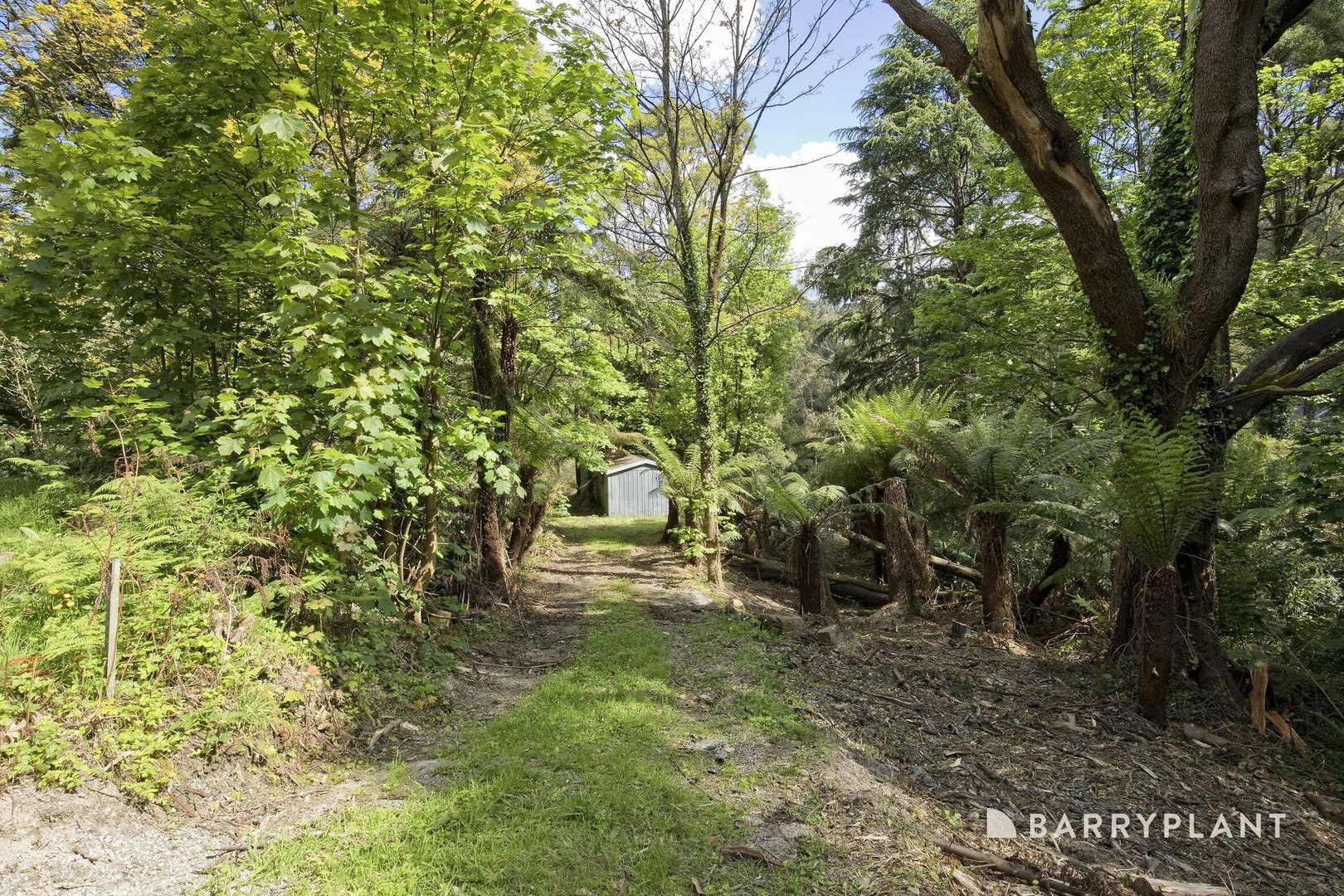 32 Dunstan Crescent, Tremont, VIC 3785, Tremont - Thumbnail 6