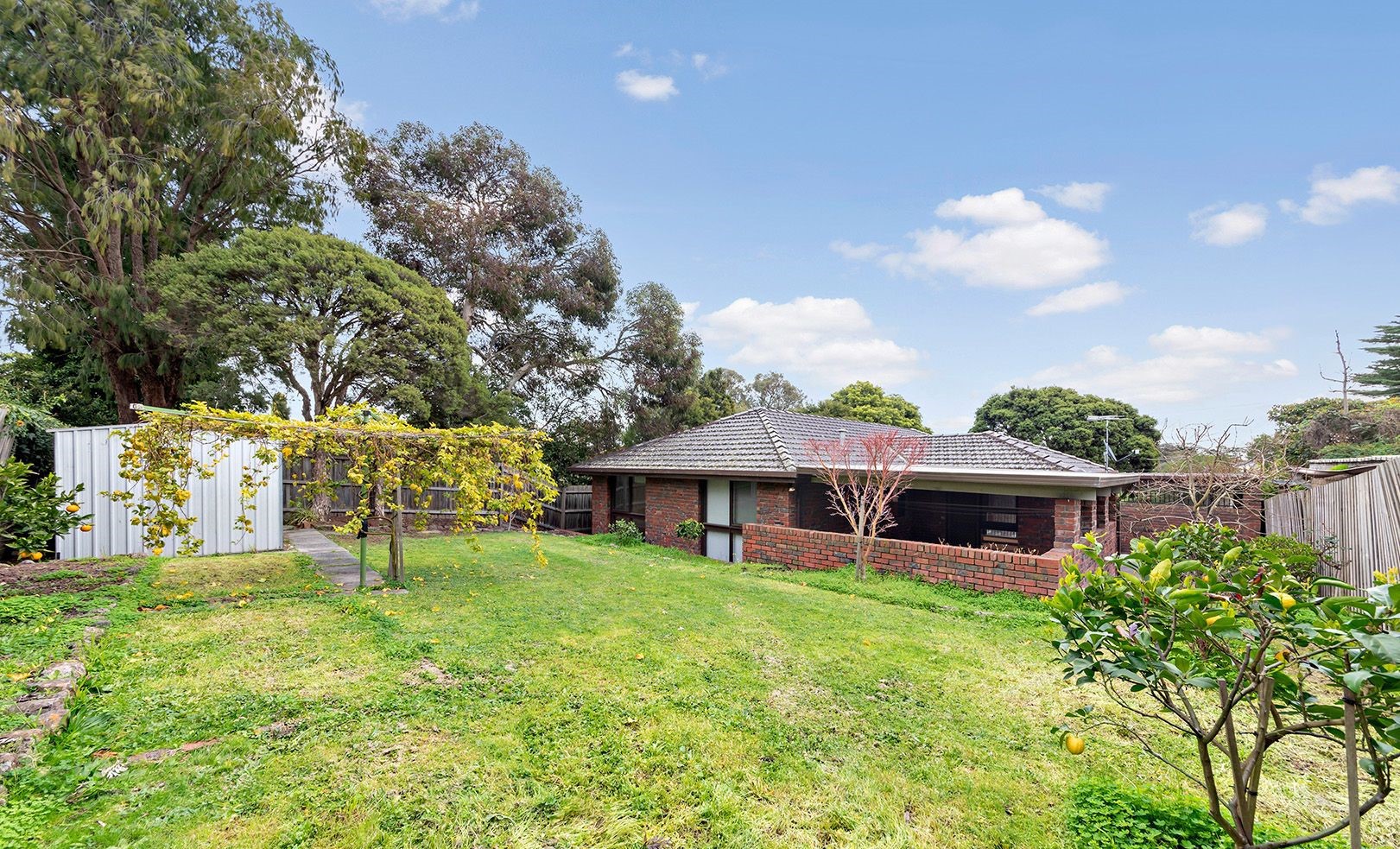 326 Blackburn Road, Doncaster East, VIC 3109, Doncaster East - Thumbnail 8
