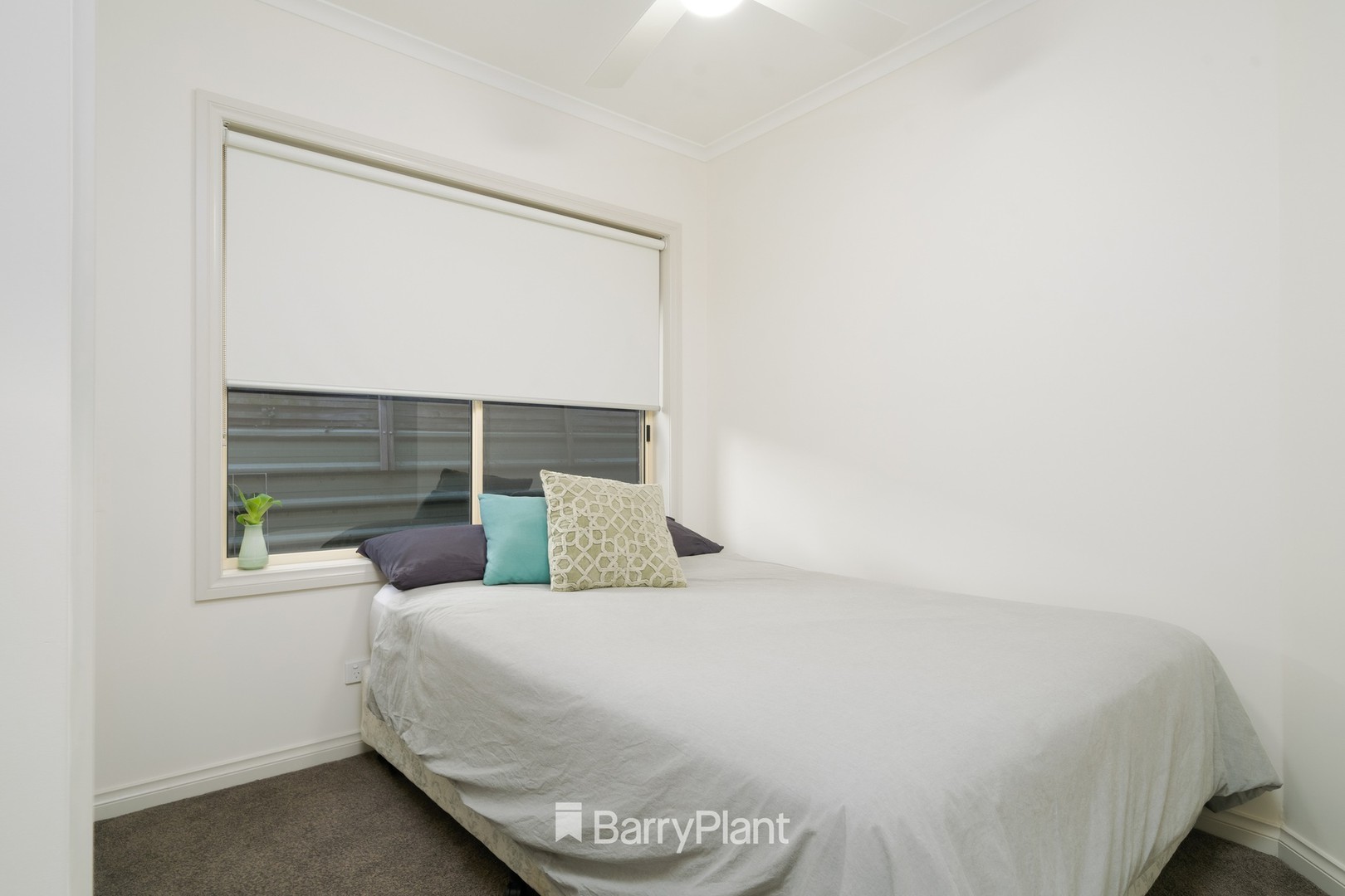 33 Shackleton Street, Belmont, VIC 3216 - Thumbnail 2 - 11/09/2023