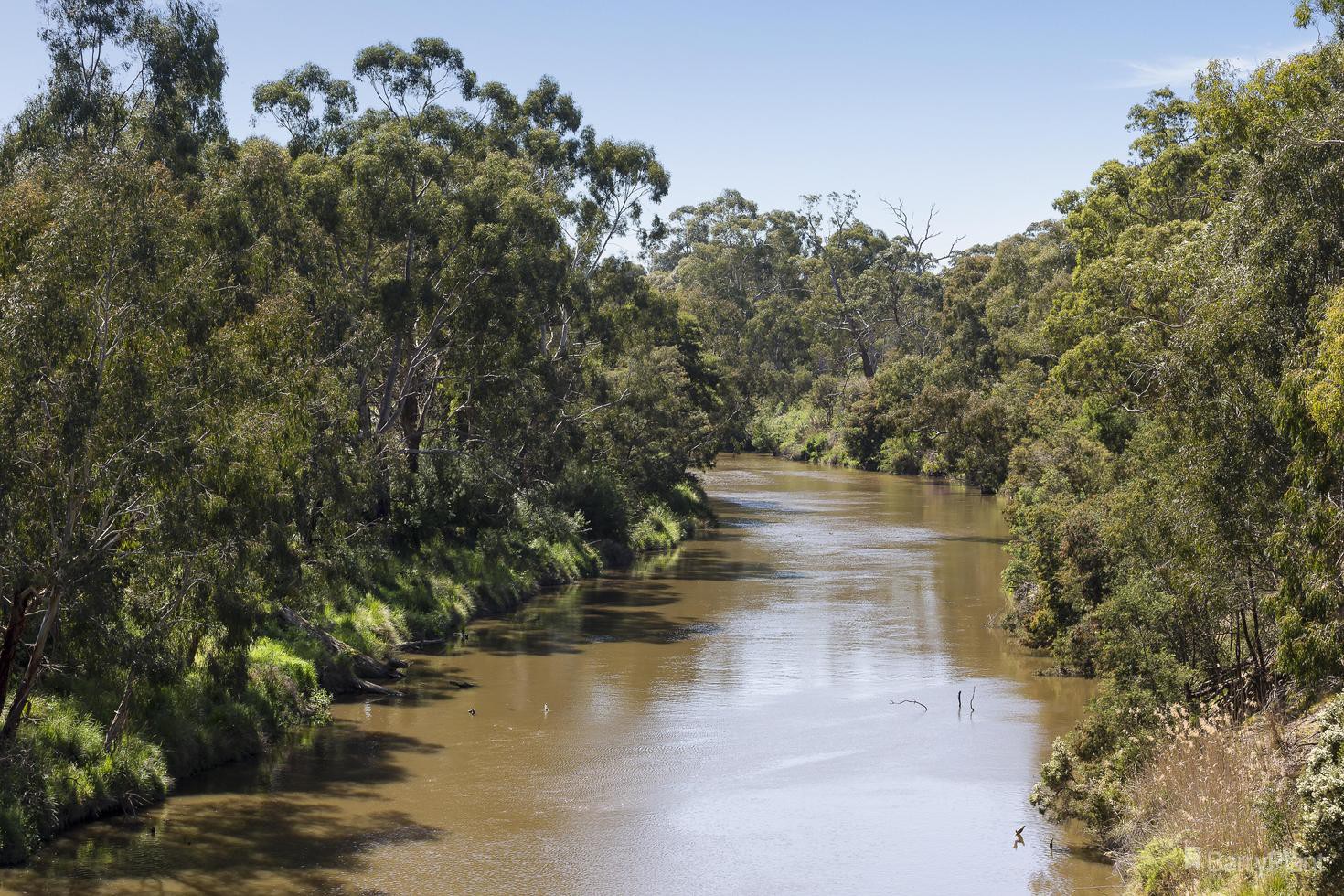337-339 Tindals Road, Warrandyte, VIC 3113, Warrandyte - Thumbnail 6
